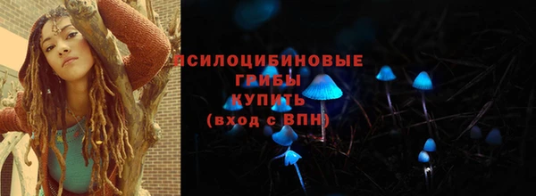 2c-b Беломорск