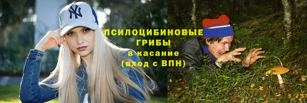 таблы Белокуриха