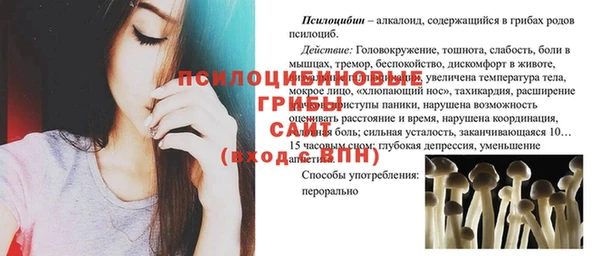 2c-b Беломорск